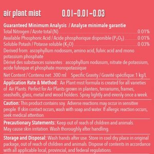 Air plant Foliage Mist 300ml - image 5