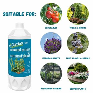 Liquid Fertilizer 1-2-5 Seaweed Extract 4L  - image 4