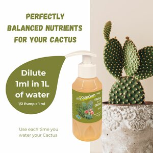 Liquid Fertilizer 2-7-7 NPK  Cactus 150ml - image 2