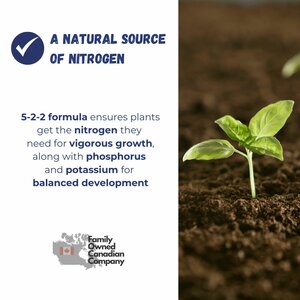 Liquid Fertilizer 5-2-2 NPK Fish Fertilize 1L - image 3